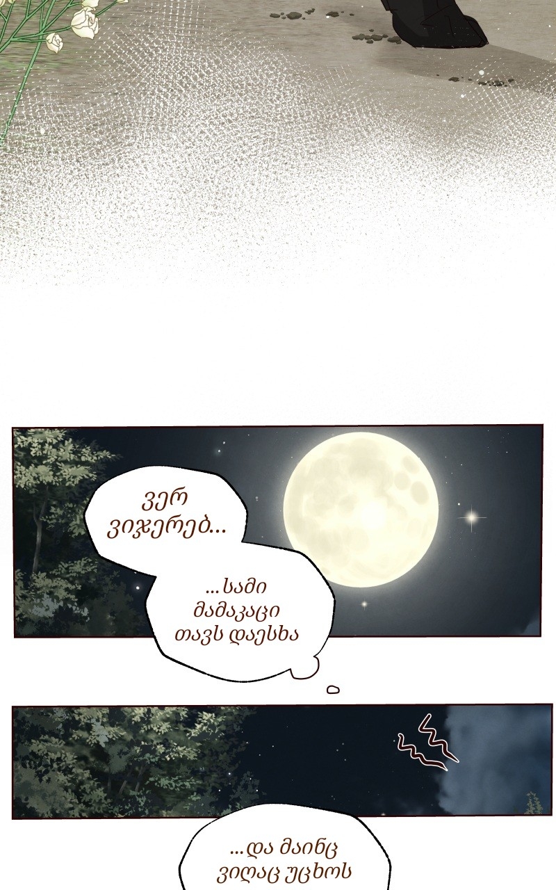 Page (36)